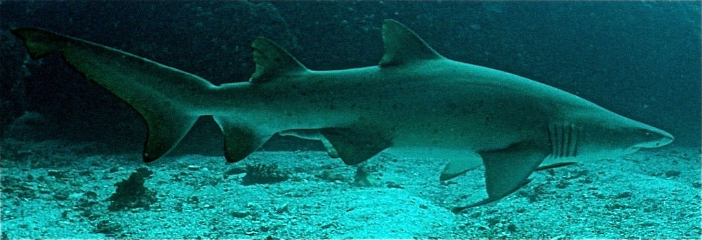 a225cd66-bead-4ddd-93a4-5ca856f4ff77