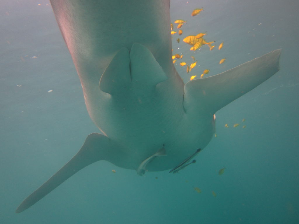 f0ebe061-c2f8-4939-9d06-6ec1263b4d4d