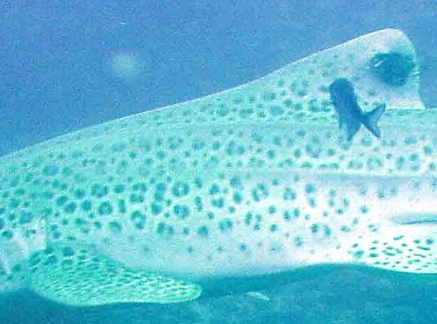 b80622cc-7f5b-4717-886b-9eaaea2f8b1d