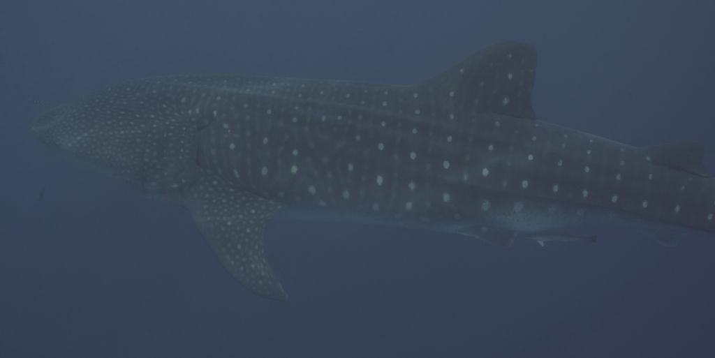 cbb0a567-751e-45df-b00a-15f589d1ddd9