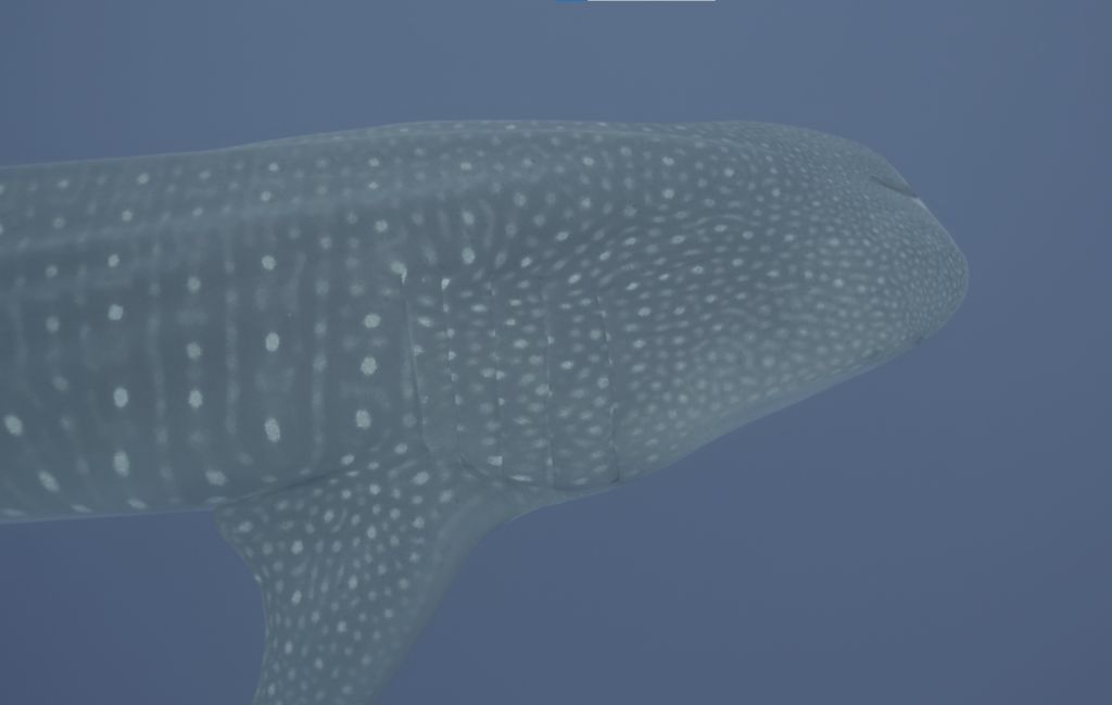 cbb0a567-751e-45df-b00a-15f589d1ddd9