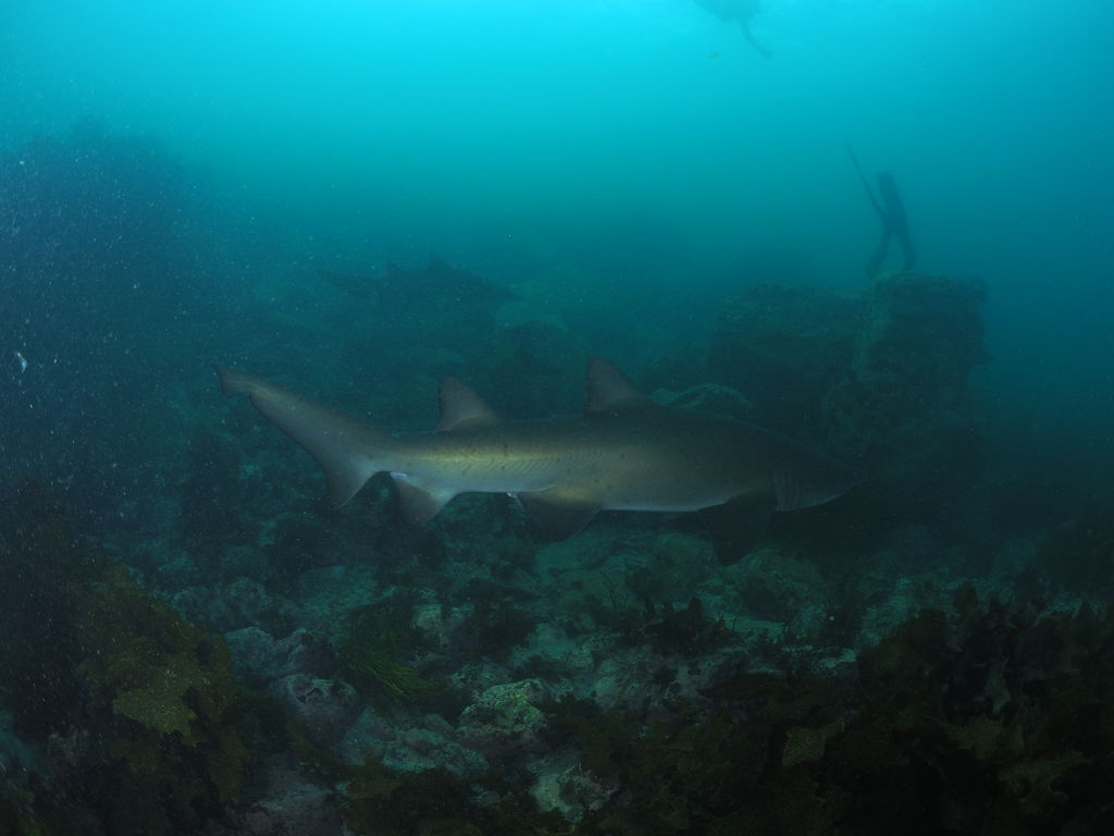 27fbbb42-3991-41da-b00b-55b53a949fc5