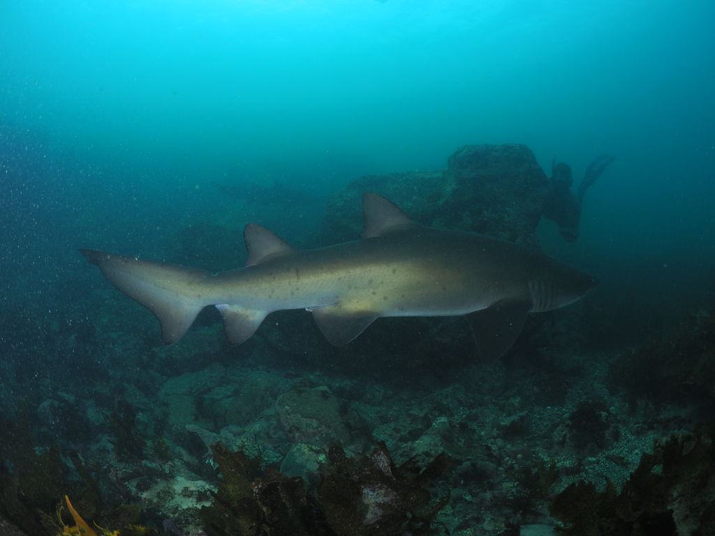 27fbbb42-3991-41da-b00b-55b53a949fc5