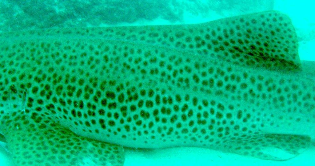 1fa7e2df-b3c3-47bd-93f5-76b9a48b7d89