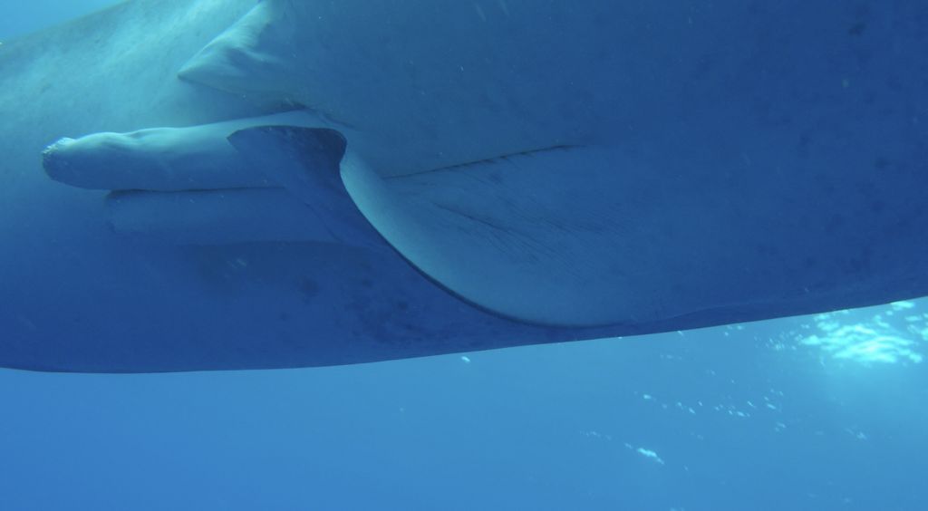 50585175-3e59-4719-b568-72fe241e3ff0