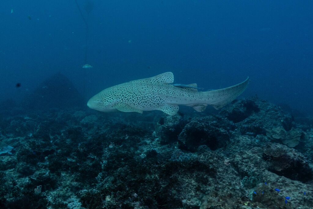 ccb08773-001e-4be7-bd97-a417e4737a33