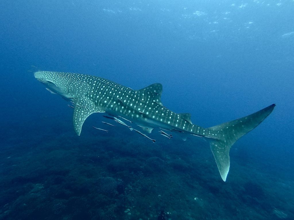 d18fcec6-09aa-42a1-9e55-3550d879b2eb