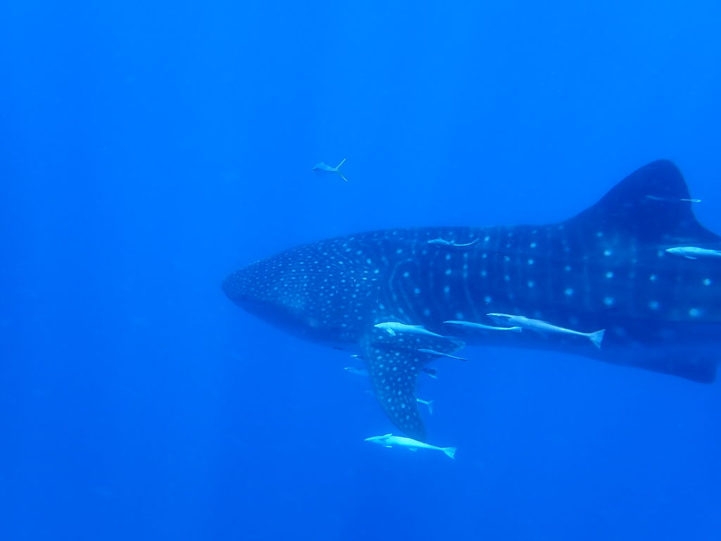 7169a233-2b42-4310-afb1-e5b993b80f25