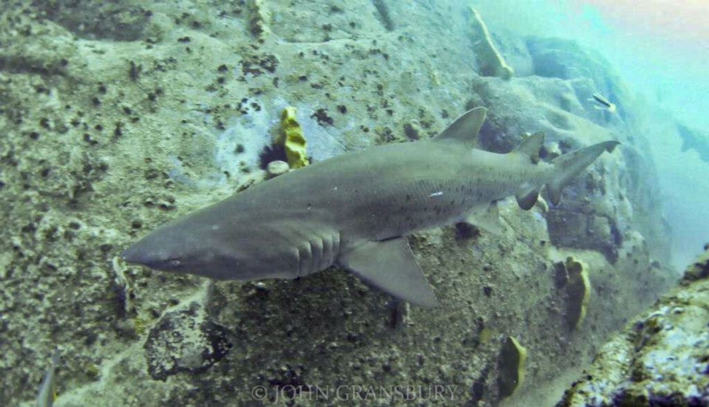 dfbfa4f9-f7d0-4e42-a13f-7e0bfed22554