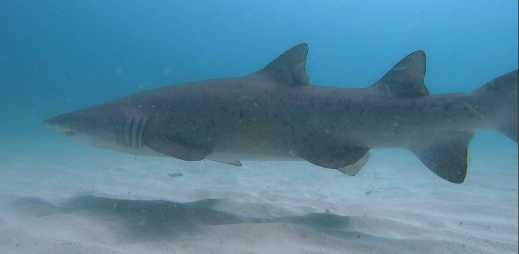 b257f42f-d8bb-444d-9a9c-d35e27ce0864