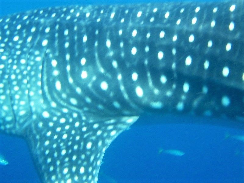 99c8f309-6dcd-4452-ac2d-603ea232525c