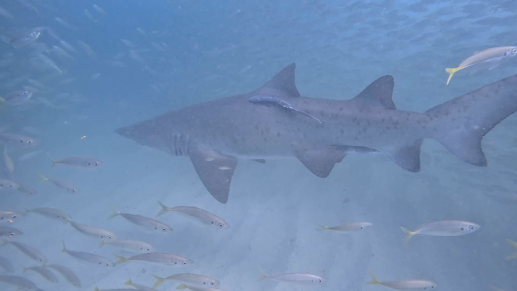 b63ee36d-c996-4fb8-9fc8-d7fea6bcdc0f