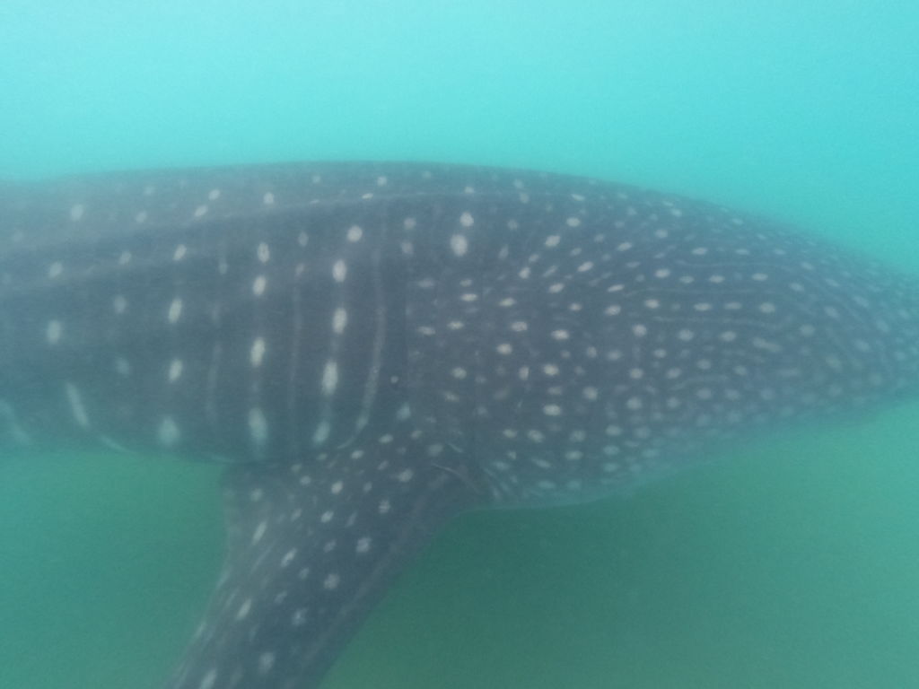 b51695fa-e345-4768-9aa6-0f66163988ed