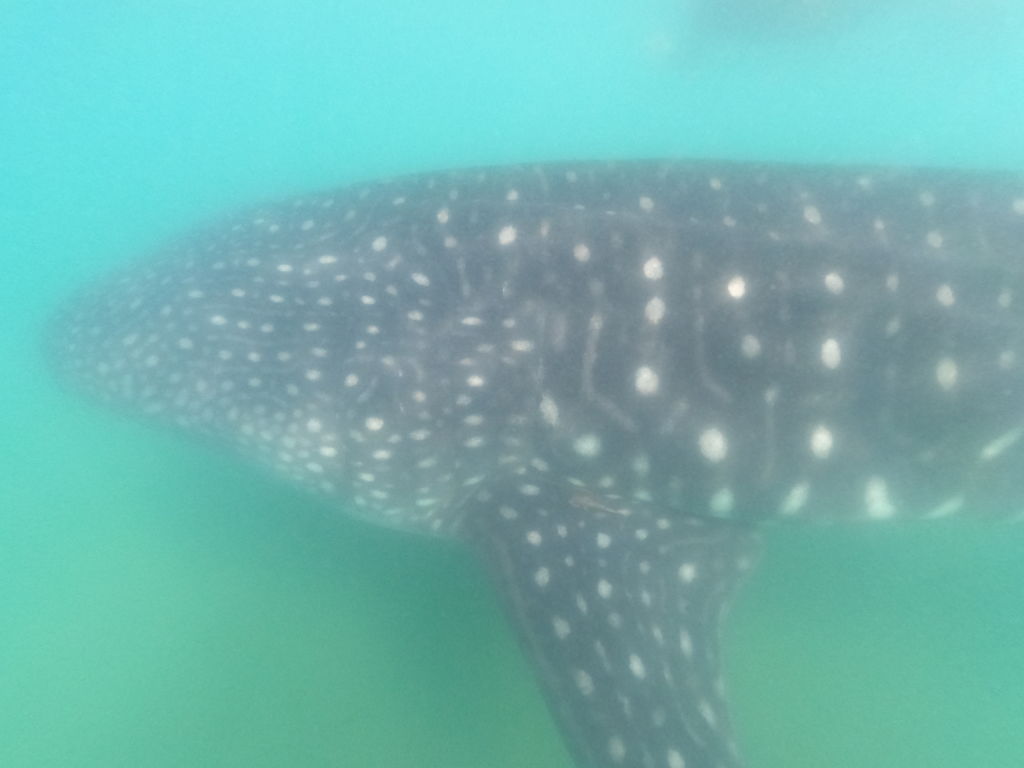 b51695fa-e345-4768-9aa6-0f66163988ed