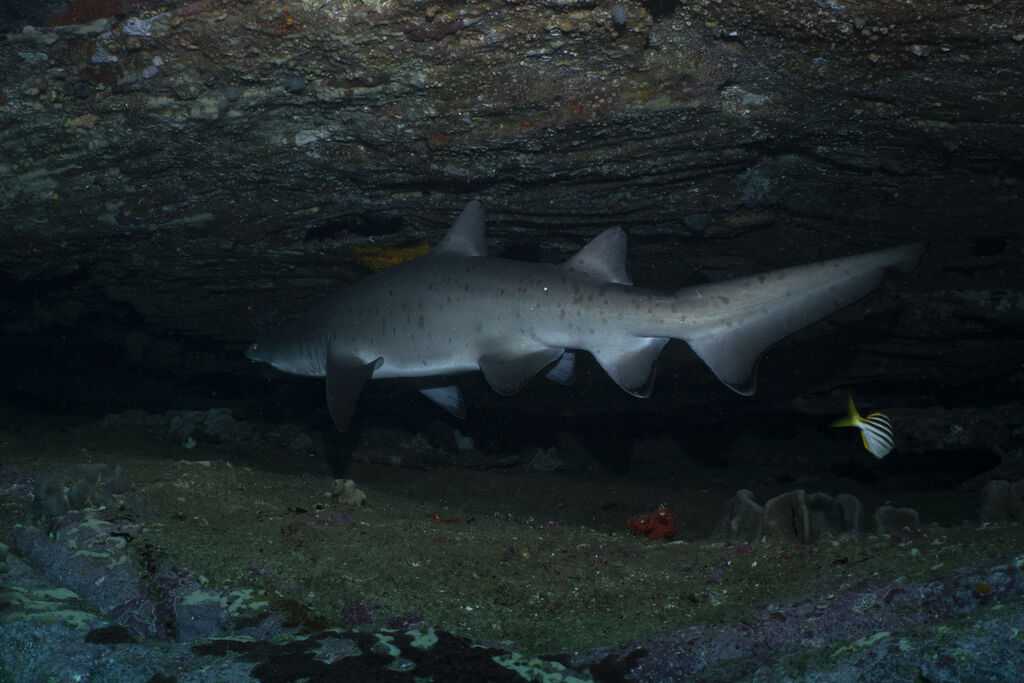 f851d59b-7e71-4b67-90ff-e1a19d627a48