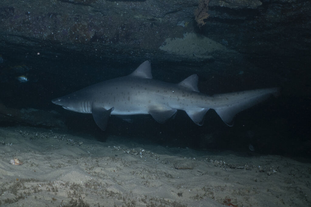 f851d59b-7e71-4b67-90ff-e1a19d627a48