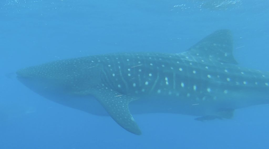 de59da5e-d37d-4e9f-847b-a71388e9ef9f