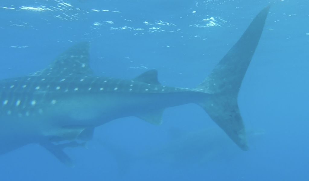 de59da5e-d37d-4e9f-847b-a71388e9ef9f