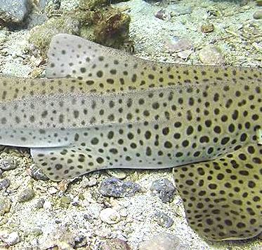 b9e2f1ca-9d2f-4e08-9aea-489edd2b4da6