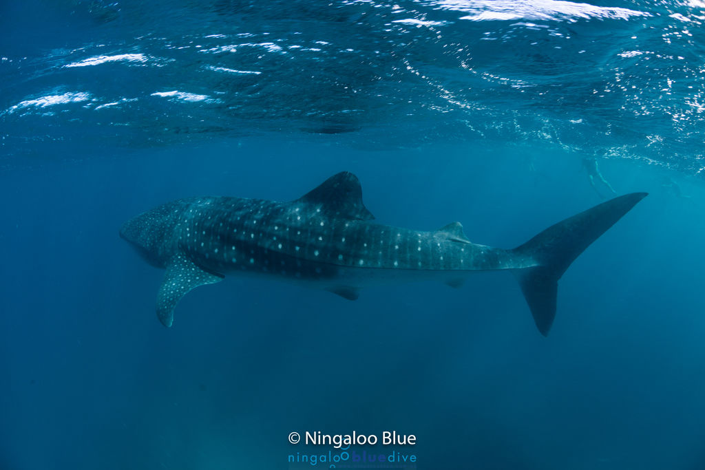 0c131ce6-debe-4ea0-a95b-0b255f37855a