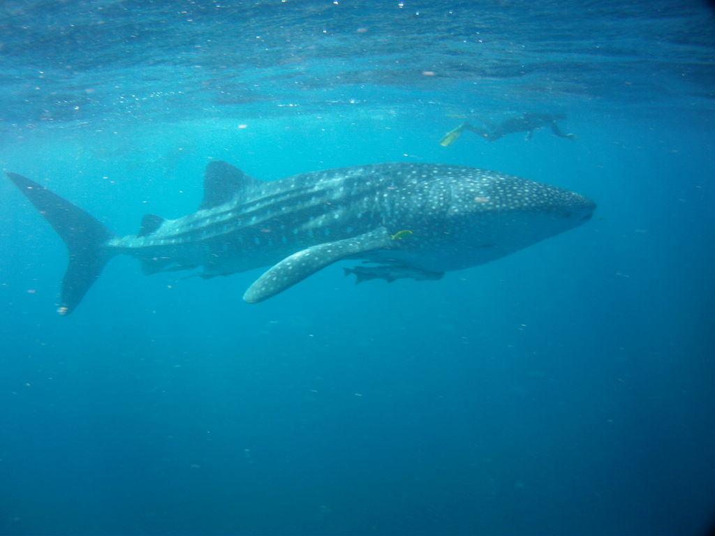 8937a203-48fa-488b-9666-bb1ceba21a6c