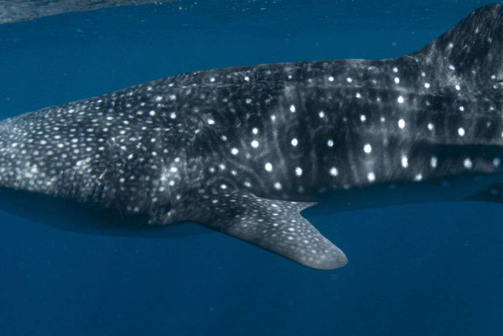 11888fbd-afdc-4706-a68f-28e5d2d8a575