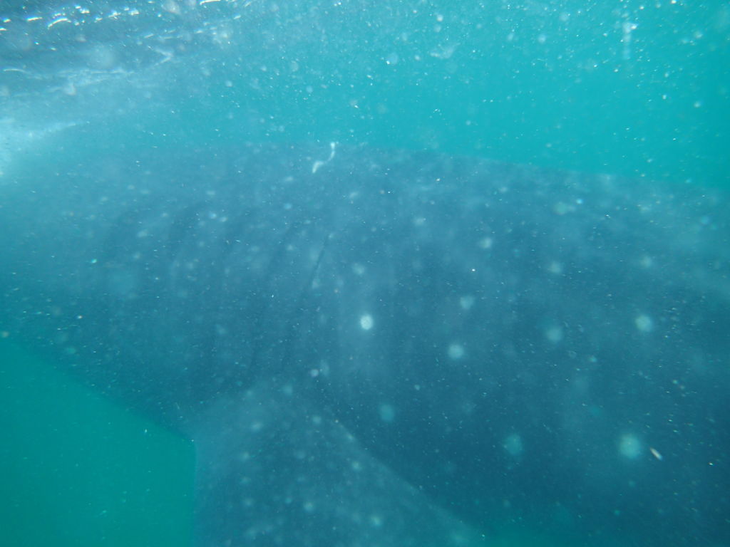 35db3291-0249-4c67-ac45-b8d8fef94223