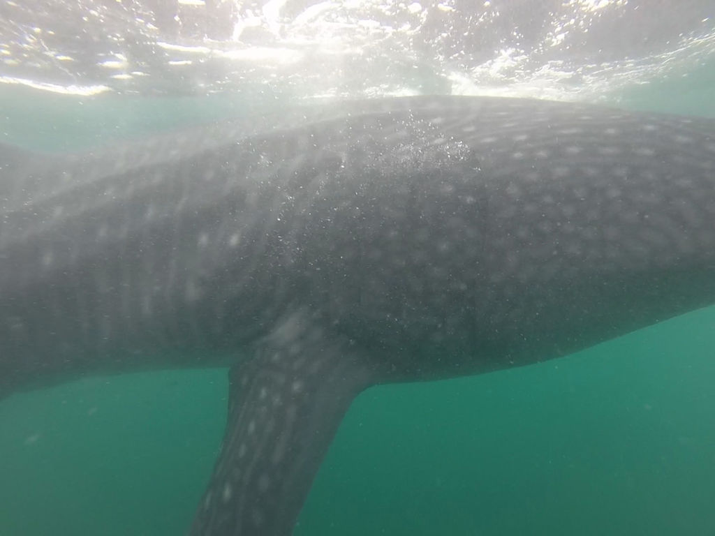 dbec40c9-72ce-4c5e-ade6-1051a951613f