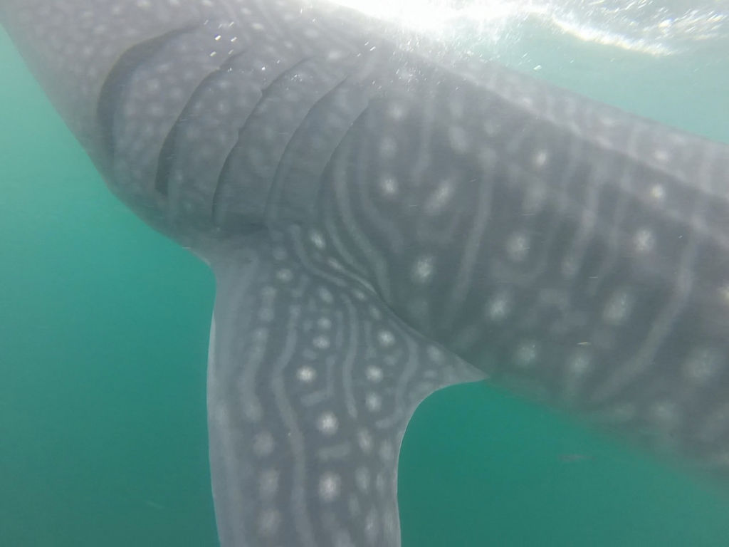 dbec40c9-72ce-4c5e-ade6-1051a951613f