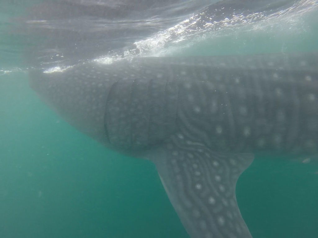 dbec40c9-72ce-4c5e-ade6-1051a951613f