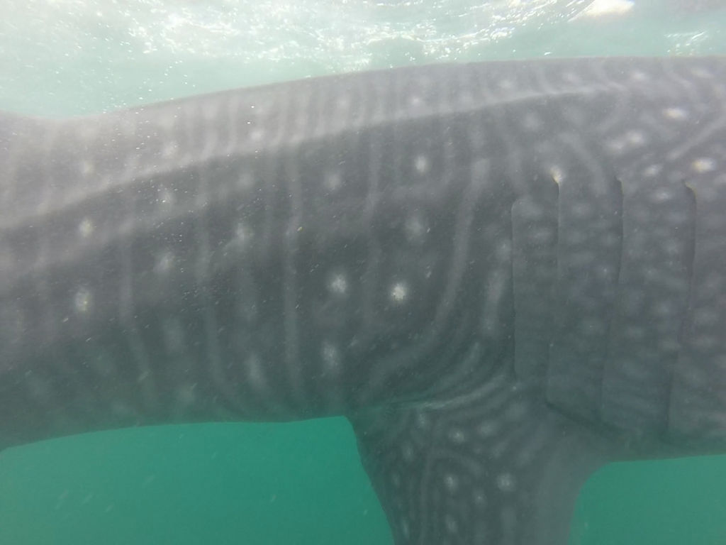 dbec40c9-72ce-4c5e-ade6-1051a951613f