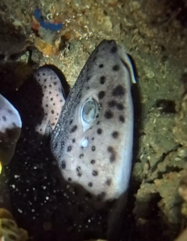 51f70797-b6e4-4b5e-944b-353a105df54e