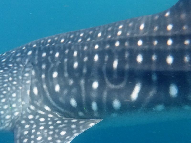 ccc683e4-5833-45db-a04f-666bc1279aa6