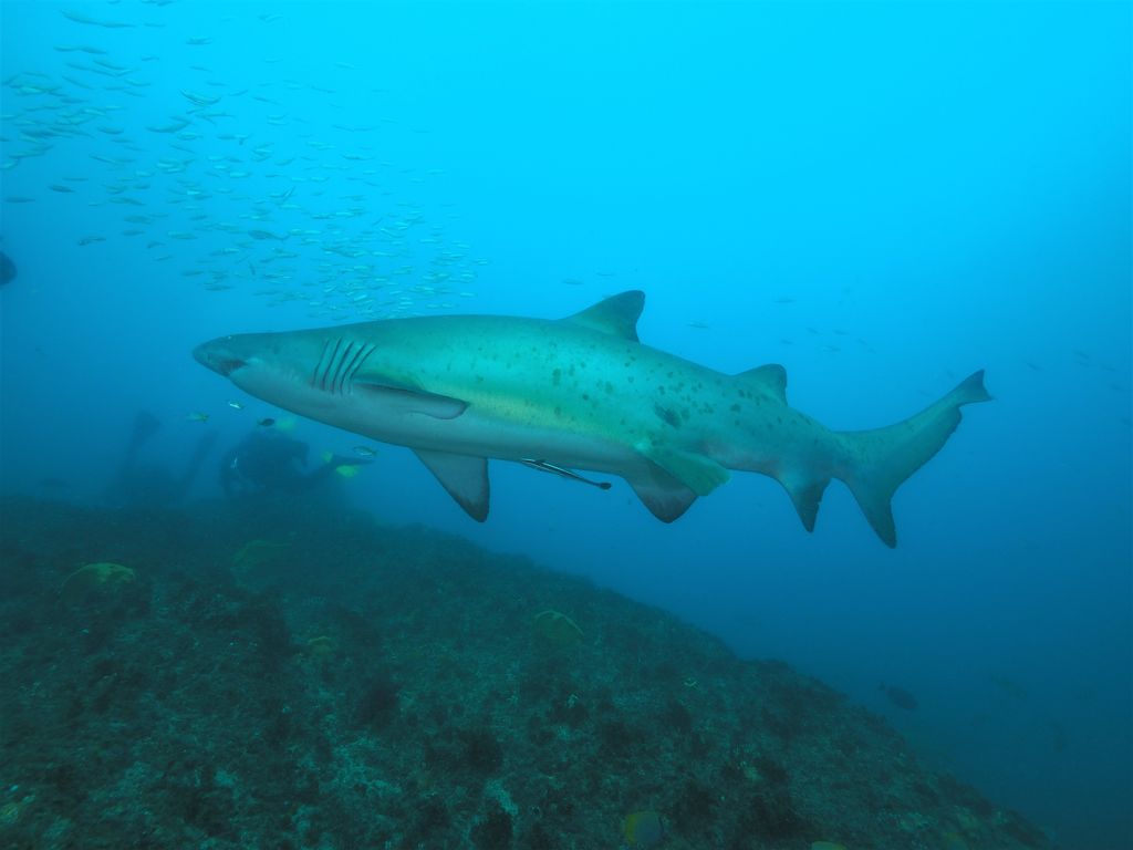 10beb0ad-faaa-464d-84fe-b8b836ccf627