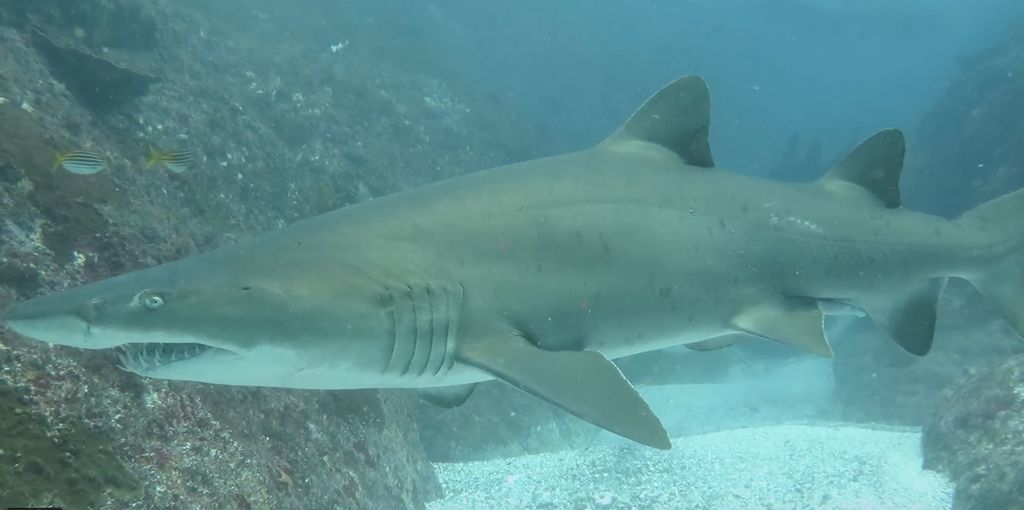 0ad2062d-baea-4a72-b2ca-9ac1a3abf9e7