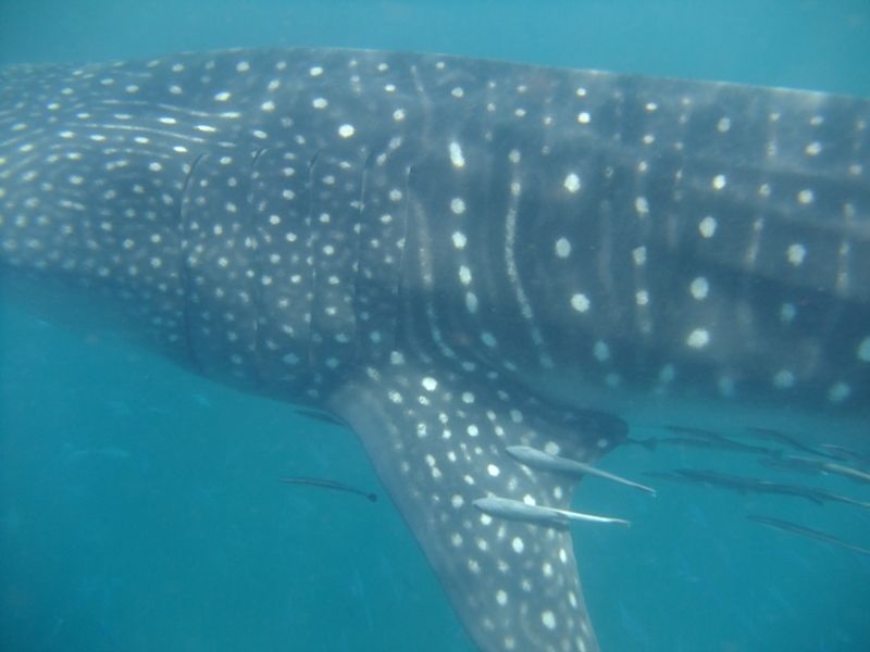 73f2a1d9-2b90-48a1-a208-99906ae47485