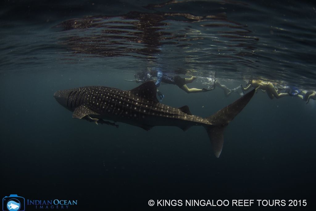 e634f77c-6c8b-49b7-9d7b-a1d9798ae9b7