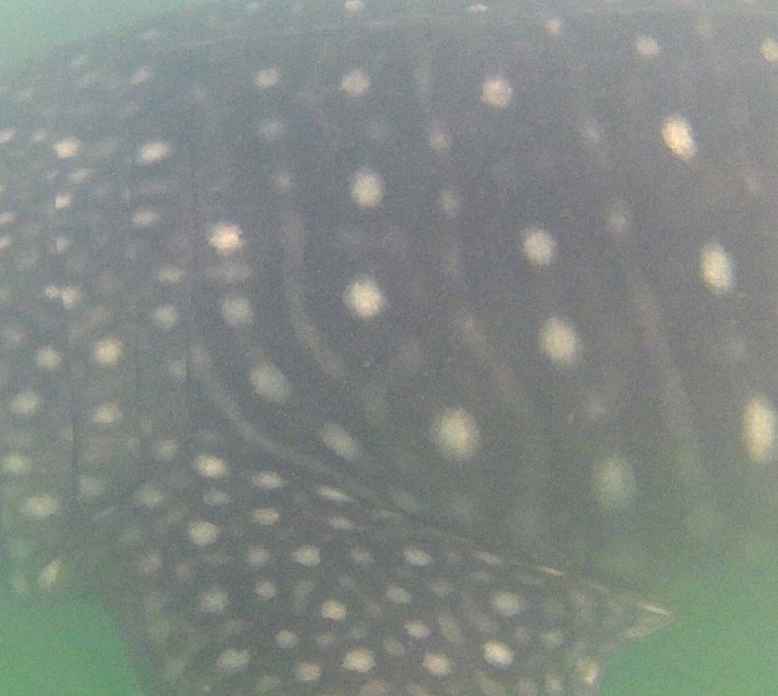 e11f09ef-f194-40f2-a66e-8aa1b26e6bda