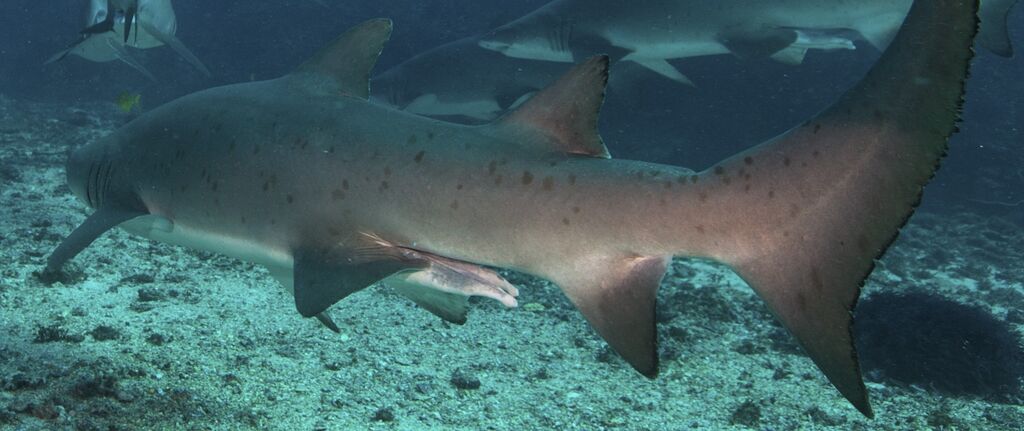 2e1e0d88-a7e6-4f9c-911a-359167d5c6fa