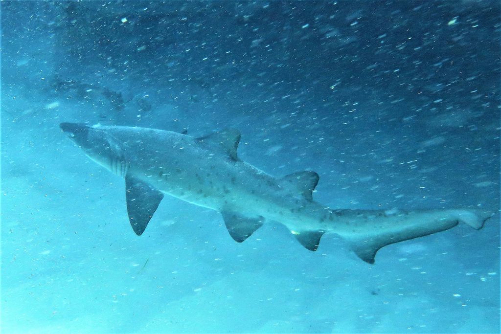 166db56b-60a4-4500-b193-f9b869baa3eb