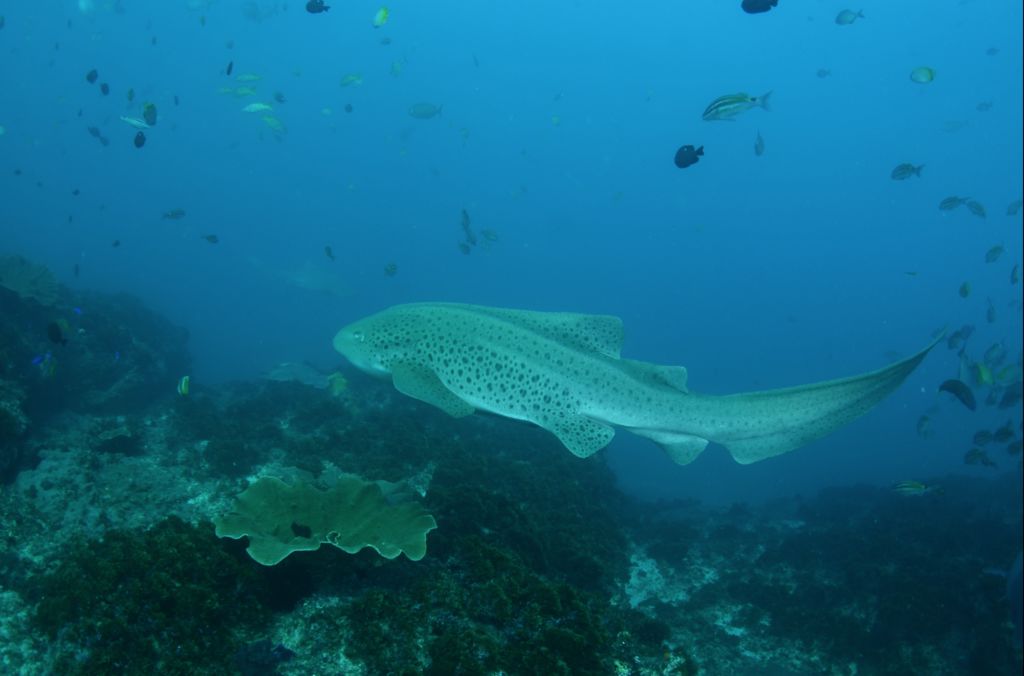 69ebc8ec-b973-45d0-a7b5-223e78fbc76f