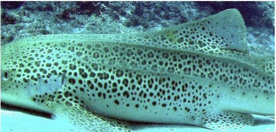 cabb2ee6-b17e-4f78-9fad-edbb93038bec