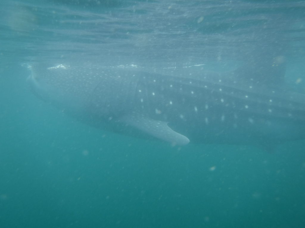 b2d36f71-8bf0-4e6d-89d5-b2f7492599e7