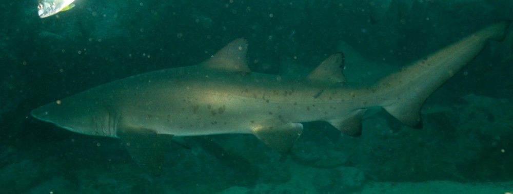 b6b307af-0cb7-4fa0-980a-34b240fc91a3