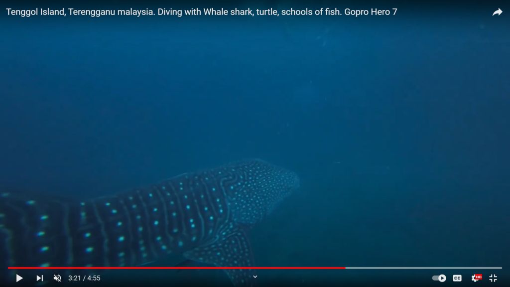 c0e39986-c107-4713-8ec8-d2d8b1c010d4