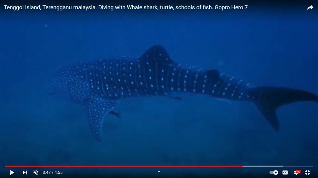 c0e39986-c107-4713-8ec8-d2d8b1c010d4