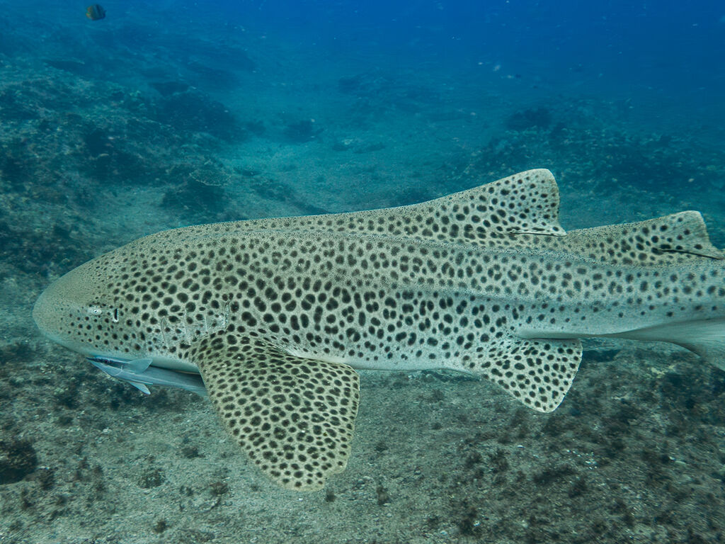 a8c0a623-ba24-474b-a92e-fce3210d4813