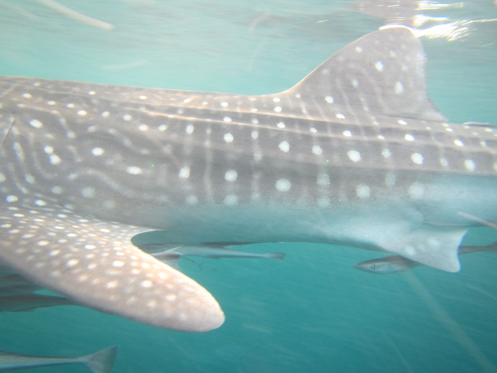 c47f06b4-4c86-4c34-b150-a69d035f24bd