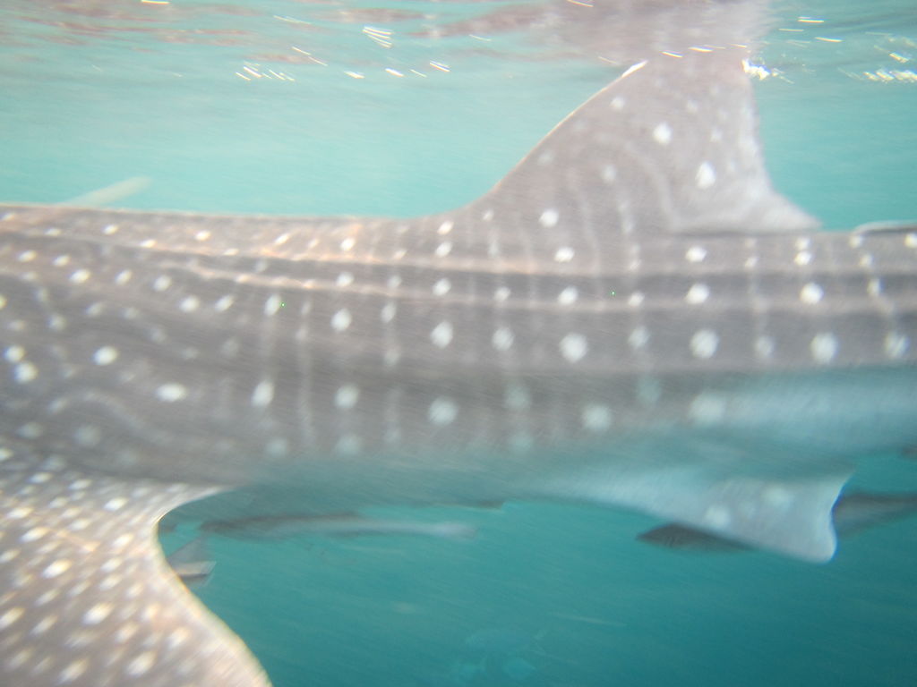 c47f06b4-4c86-4c34-b150-a69d035f24bd