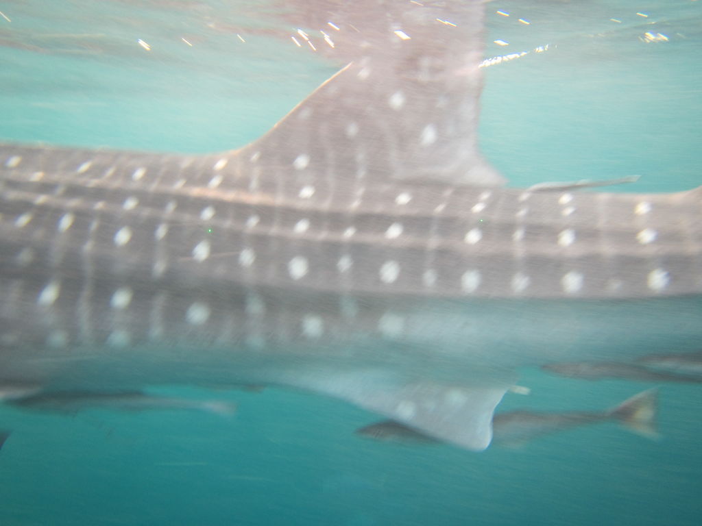 c47f06b4-4c86-4c34-b150-a69d035f24bd